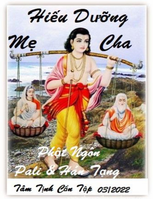 hieu duong cha me_vu lan bao hieu0.jpg